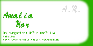 amalia mor business card